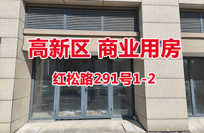 序号02：红松路291号1-2